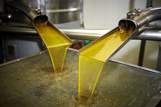 Traditional Cold-Press